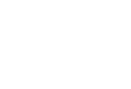 Fenix Leasing